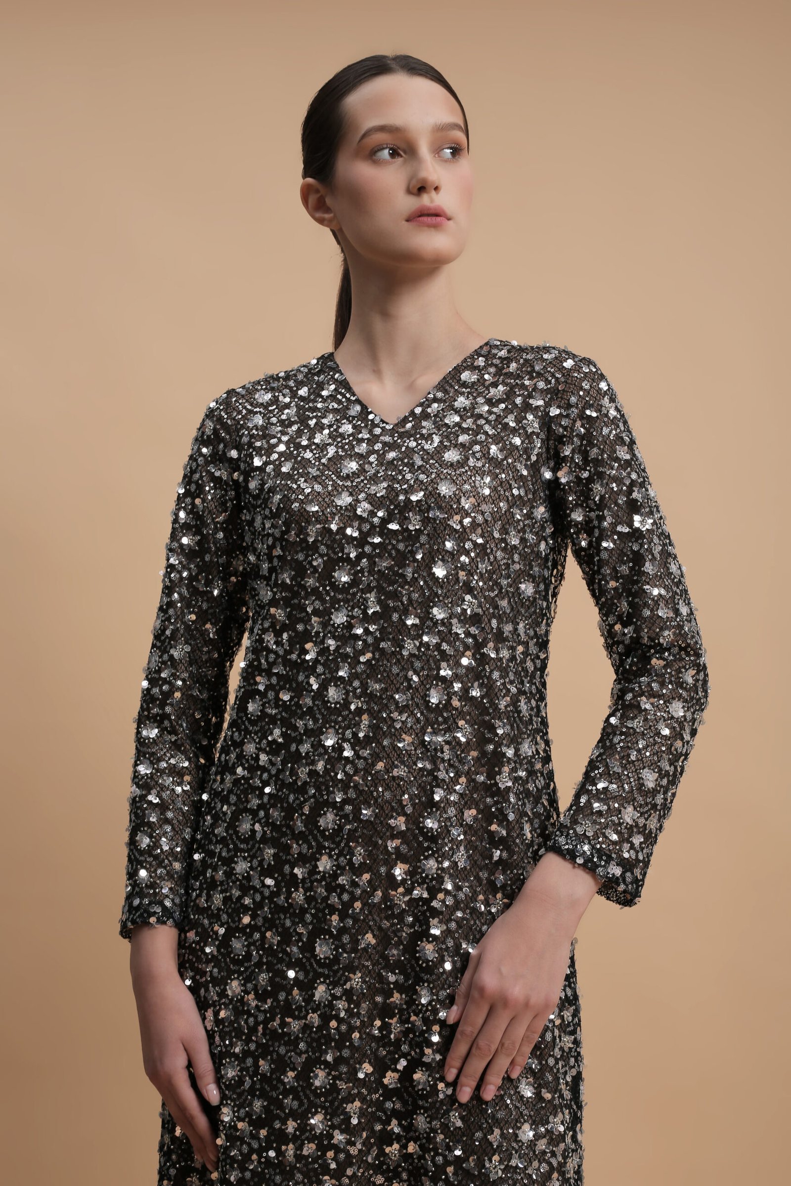 Embroidered Tulle Mesh Evening Gown in Starlight Black | prive